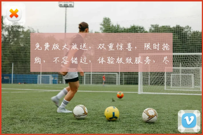 免费版大放送，双重惊喜，限时抢购，不容错过，体验极致服务，尽在品牌名