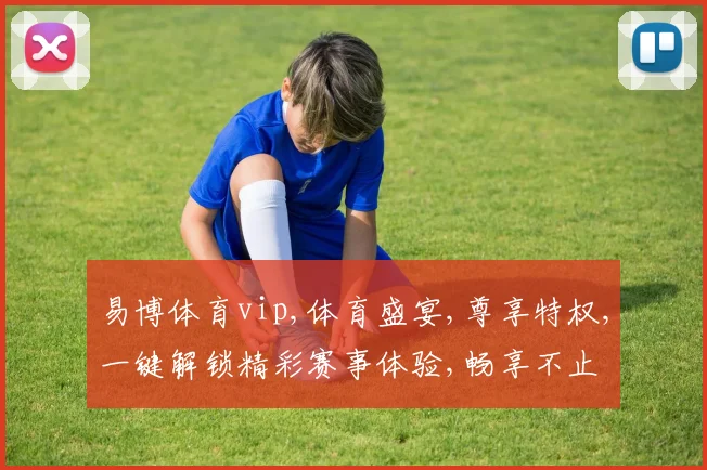 易博体育vip,体育盛宴,尊享特权,一键解锁精彩赛事体验,畅享不止